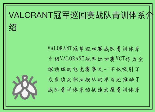 VALORANT冠军巡回赛战队青训体系介绍